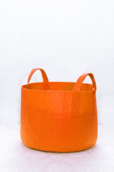 Sackgsund orange