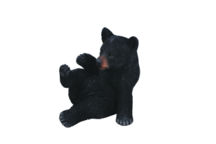 Schwarzbär sitzend