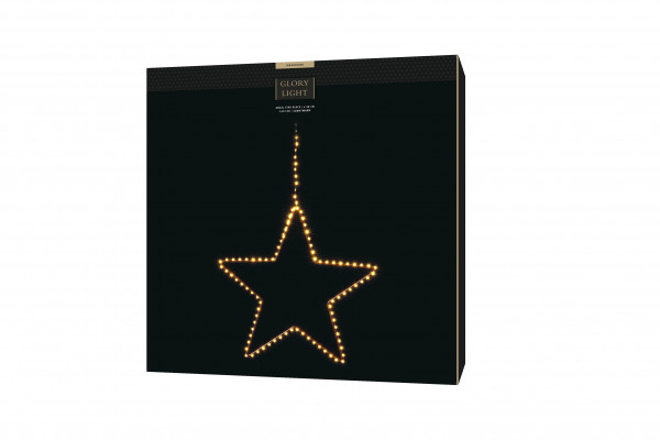 LED Angel Star