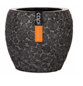 Capi Indoor Holz Schwarz