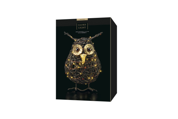 LED Snooki Rattan Owl