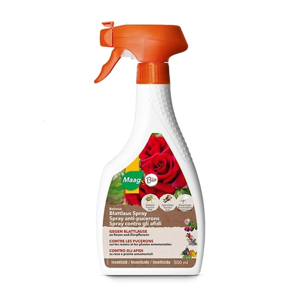 Maag Belrose Blattlaus Spray