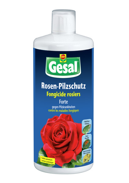 Gesal Rosen-Pilzschutz FORTE