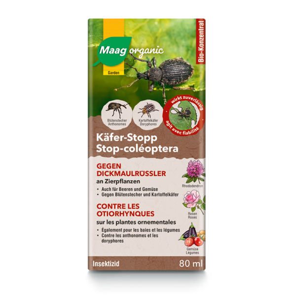 Käfer Stopp