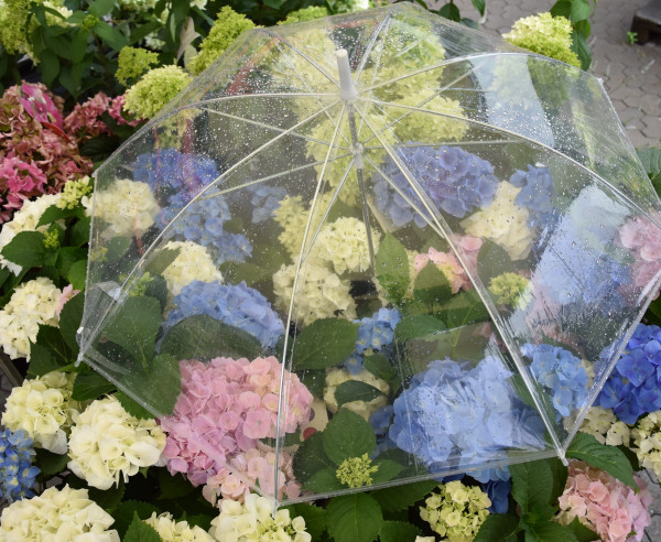 Regenschutzschirm