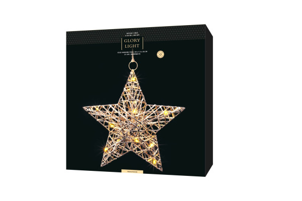 In & Outdoor Gold Star